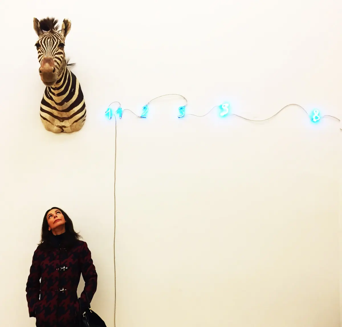 La Zebra è sempre in testa (Mario Merz, Zebra (Fibonacci))
